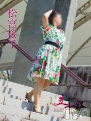新潟デリヘル五十路マダム新潟店(カサブランカグループ)(イソジマダムニイガタテン) 松宮桜子(52)の5月20日写メブログ「出勤しました♪」