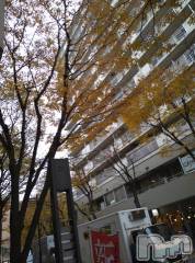 新潟デリヘル五十路マダム新潟店(カサブランカグループ)(イソジマダムニイガタテン) 松宮桜子(52)の12月6日写メブログ「こんにちは(*^^*)」