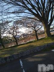 新潟デリヘル五十路マダム新潟店(カサブランカグループ)(イソジマダムニイガタテン) 松宮桜子(52)の4月12日写メブログ「サクラ🌸のある公園で、撮影して来ました！」