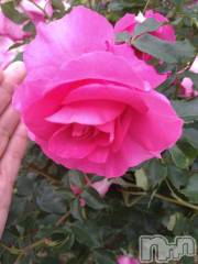 新潟デリヘル五十路マダム新潟店(カサブランカグループ)(イソジマダムニイガタテン) 松宮桜子(52)の5月21日写メブログ「さくらこ🌸です♪♪」