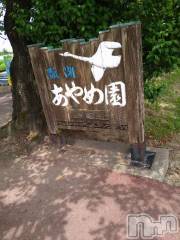 新潟デリヘル五十路マダム新潟店(カサブランカグループ)(イソジマダムニイガタテン) 松宮桜子(52)の6月17日写メブログ「お出掛けして来ました💕」