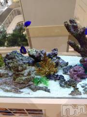 新潟デリヘル五十路マダム新潟店(カサブランカグループ)(イソジマダムニイガタテン) 松宮桜子(52)の6月4日写メブログ「のんびり…」