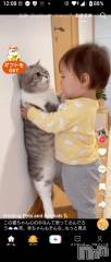 新潟デリヘル五十路マダム新潟店(カサブランカグループ)(イソジマダムニイガタテン) 松宮桜子(52)の2月22日写メブログ「猫ちゃん」