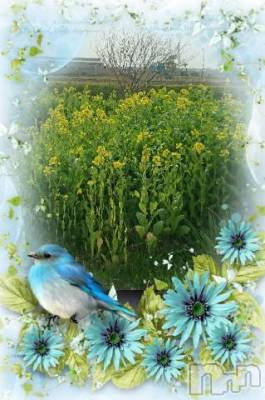 新潟デリヘル 五十路マダム新潟店(カサブランカグループ)(イソジマダムニイガタテン) 松宮桜子(52)の4月8日写メブログ「お休み満喫」