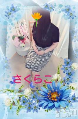 新潟デリヘル 五十路マダム新潟店(カサブランカグループ)(イソジマダムニイガタテン) 松宮桜子(52)の7月1日写メブログ「出勤しました?」