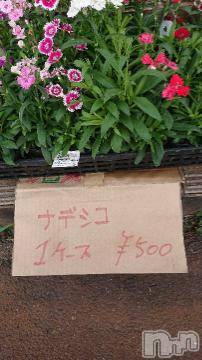 新潟デリヘル 五十路マダム新潟店(カサブランカグループ)(イソジマダムニイガタテン) 松宮桜子(52)の9月21日写メブログ「リア充！」