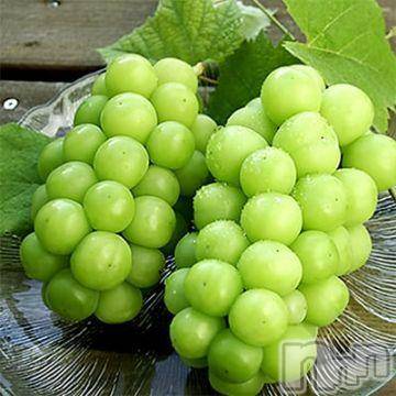 新潟デリヘル 五十路マダム新潟店(カサブランカグループ)(イソジマダムニイガタテン) 松宮桜子(52)の10月12日写メブログ「[お題]from:いずみん亭さん」