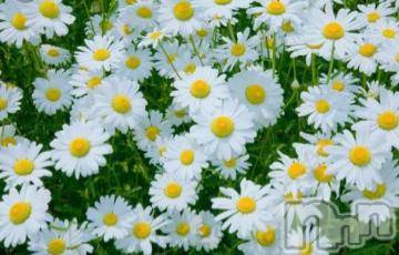 新潟デリヘル 五十路マダム新潟店(カサブランカグループ)(イソジマダムニイガタテン) 松宮桜子(52)の12月5日写メブログ「ありがとう(^O^)」