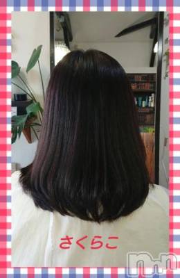 新潟デリヘル 五十路マダム新潟店(カサブランカグループ)(イソジマダムニイガタテン) 松宮桜子(52)の4月9日写メブログ「セミロングです♪」