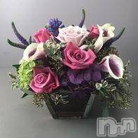 新潟デリヘル 五十路マダム新潟店(カサブランカグループ)(イソジマダムニイガタテン) 松宮桜子(52)の5月24日写メブログ「お待ち合わせのHにゃんへお礼」