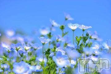 新潟デリヘル 五十路マダム新潟店(カサブランカグループ)(イソジマダムニイガタテン) 松宮桜子(52)の6月5日写メブログ「ごめんなさいm(_ _)m」