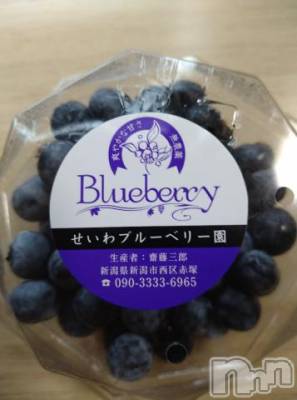 新潟デリヘル 五十路マダム新潟店(カサブランカグループ)(イソジマダムニイガタテン) 松宮桜子(52)の9月5日写メブログ「おはようございます！」