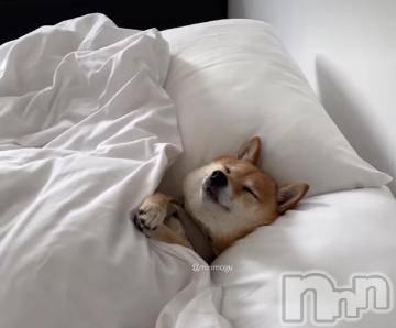 新潟デリヘル 五十路マダム新潟店(カサブランカグループ)(イソジマダムニイガタテン) 松宮桜子(52)の1月8日写メブログ「こんばんは(*^^*)」