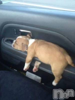 新潟デリヘル 五十路マダム新潟店(カサブランカグループ)(イソジマダムニイガタテン) 松宮桜子(52)の1月17日写メブログ「わぁ～😲」