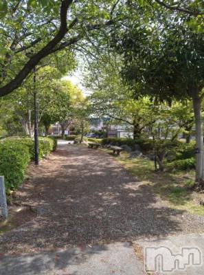 新潟デリヘル 五十路マダム新潟店(カサブランカグループ)(イソジマダムニイガタテン) 松宮桜子(52)の4月23日写メブログ「新緑がキレイでした～🥰」