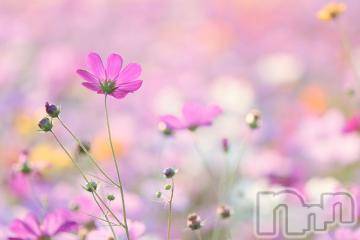 新潟デリヘル 五十路マダム新潟店(カサブランカグループ)(イソジマダムニイガタテン) 松宮桜子(52)の10月17日写メブログ「こんばんは！」