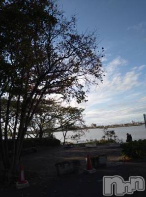 新潟デリヘル 五十路マダム新潟店(カサブランカグループ)(イソジマダムニイガタテン) 松宮桜子(52)の11月15日写メブログ「外撮影に行って来ましたー💓」