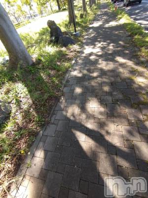 新潟デリヘル 五十路マダム新潟店(カサブランカグループ)(イソジマダムニイガタテン) 松宮桜子(52)の10月24日写メブログ「さくらこ🌸です」