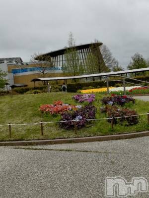 新潟デリヘル 五十路マダム新潟店(カサブランカグループ)(イソジマダムニイガタテン) 松宮桜子(52)の5月4日写メブログ「ギリギリの…」