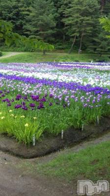 新潟デリヘル 五十路マダム新潟店(カサブランカグループ)(イソジマダムニイガタテン) 松宮桜子(52)の6月25日写メブログ「まもなく出勤です♡」