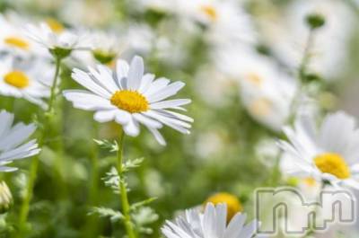 新潟デリヘル 五十路マダム新潟店(カサブランカグループ)(イソジマダムニイガタテン) 松宮桜子(52)の1月21日写メブログ「すみません…」