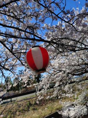 新潟デリヘル 五十路マダム新潟店(カサブランカグループ)(イソジマダムニイガタテン) 松宮桜子(52)の4月8日写メブログ「ありがとうございます💕」