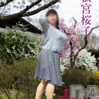 松宮桜子