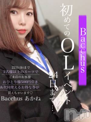 ʥå륺СGirls Bar BacchusŹ(Хåޥƥ) ͤ419ִ̥֥ʪ