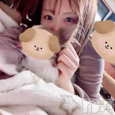 ʥå륺СGirls Bar BacchusŹ(Хåޥƥ) ʤʤ121̥֥֤ˤ褦ӡ