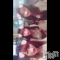 ʥå륺СGirls Bar BacchusŹ(Хåޥƥ) ʤʤư֤⤯褦ӡ
