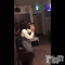 ʥå륺СGirls Bar BacchusŹ(Хåޥƥ) ʤʤưֻҤɤ⤬ǤɤΡС