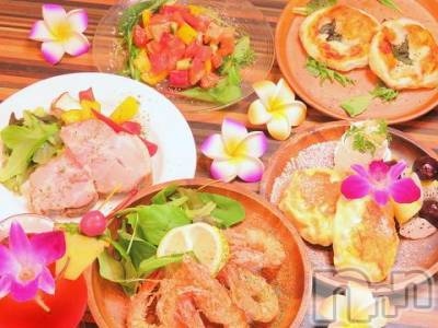 ĮåȥС Hawaiian Dining Mahalo(ϥ磻󥢥ɥ˥󥰡ޥϥ)Źޥ᡼