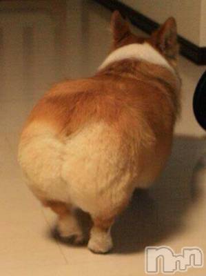 松本発デリヘル Revolution(レボリューション) 真希(28)の6月24日写メブログ「こんにちは♪」