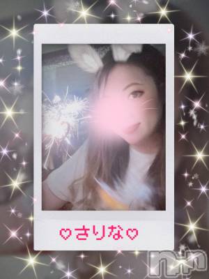 Ĺ襳ѥ˥󥯥ֻ򥳥ѥ˥󥯥 Amour(ࡼ) ʡ夲Ĺ96̥֥🐖🐖🐖æзײ