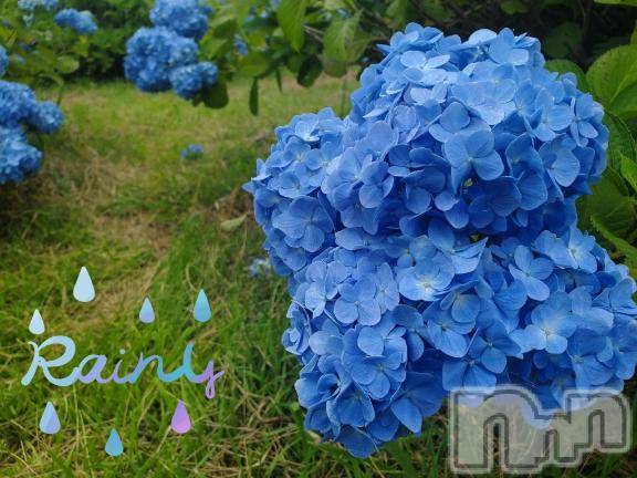 長岡デリヘルBIANCA～主人の知らない私～長岡店(ビアンカナガオカテン)登坂　まな(32)の2025年7月8日写メブログ「アニサマ落選ー😭」