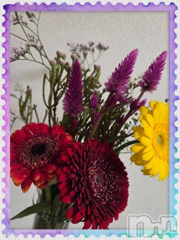 長岡デリヘルBIANCA～主人の知らない私～長岡店(ビアンカナガオカテン)登坂　まな(32)の2026年1月28日写メブログ「27日のお礼です♪」