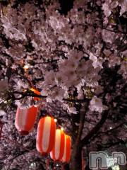 長岡デリヘルBIANCA～主人の知らない私～長岡店(ビアンカナガオカテン) 登坂　まな(32)の4月13日写メブログ「昨日の帰り道🌸」