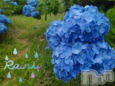 長岡デリヘル BIANCA～主人の知らない私～長岡店(ビアンカナガオカテン) 登坂　まな(32)の7月8日写メブログ「アニサマ落選ー😭」