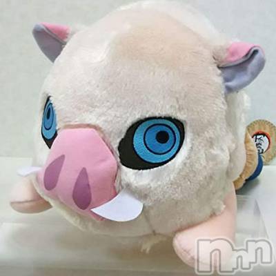 上越デリヘル 上越風俗出張アロママッサージ(ジョウエツフウゾクシュッチョウアロママッサージ) はる★(31)の5月27日写メブログ「カムバック‼︎」