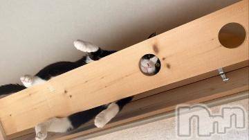 上越デリヘル 上越風俗出張アロママッサージ(ジョウエツフウゾクシュッチョウアロママッサージ) はる★(31)の6月11日写メブログ「今の私の」