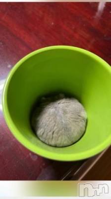 上越デリヘル 上越風俗出張アロママッサージ(ジョウエツフウゾクシュッチョウアロママッサージ) はる★(31)の9月26日写メブログ「可愛いバナナジュース❣️笑」