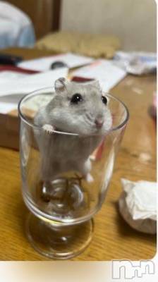 上越デリヘル 上越風俗出張アロママッサージ(ジョウエツフウゾクシュッチョウアロママッサージ) はる★(31)の10月2日写メブログ「食欲全開❣️」