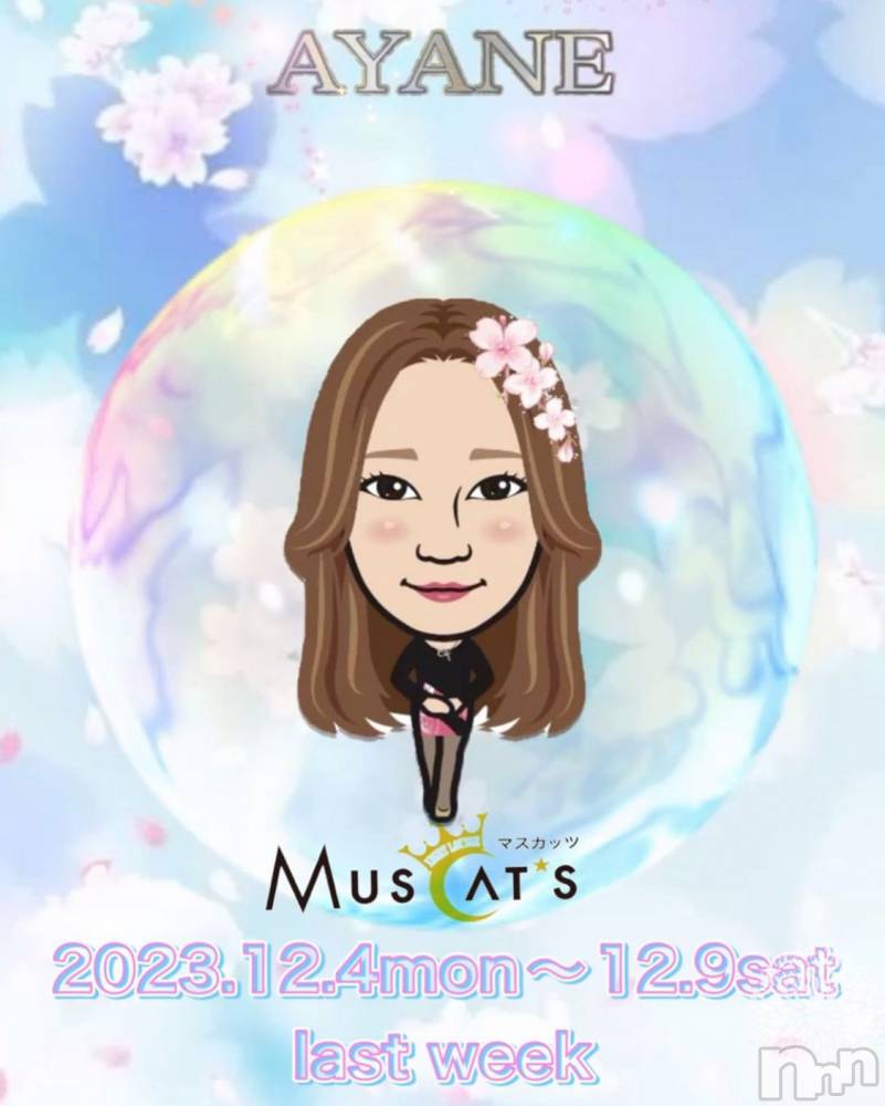Ʋʥå륺СMuscat`s(ޥå) ͤ1128̥֥֤𡪡