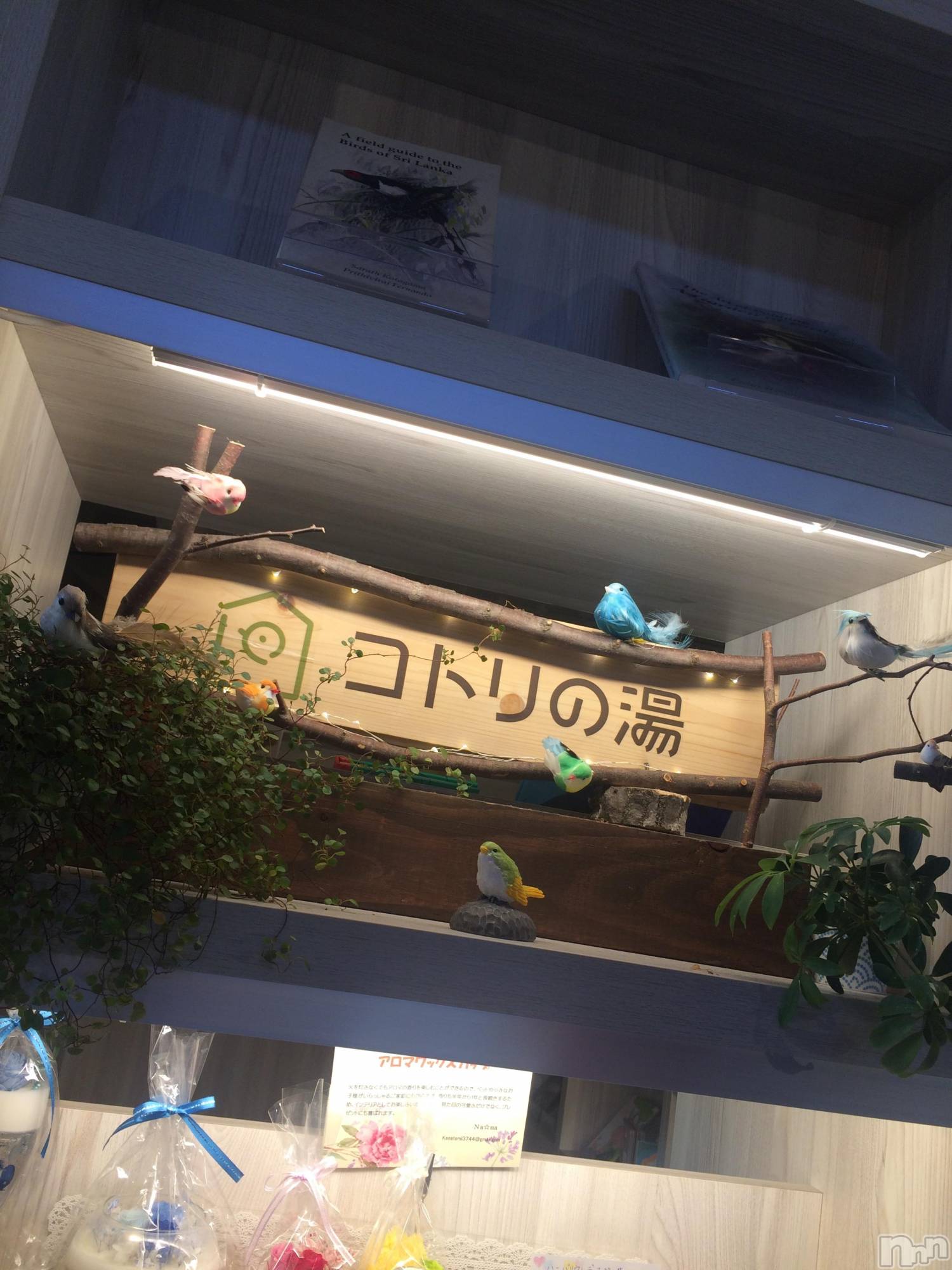 Ʋʥå륺СMuscat`s(ޥå) 2019ǯ614̥֥614 2045ʬΥ֥