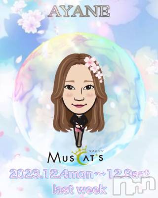 Ʋʥå륺СMuscat`s(ޥå) ͤ1128̥֥֤𡪡