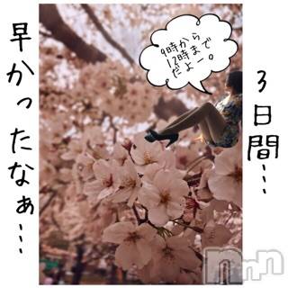 新潟ソープスチュワーデス ことり(32)の4月17日写メブログ「おやすみなさいー」