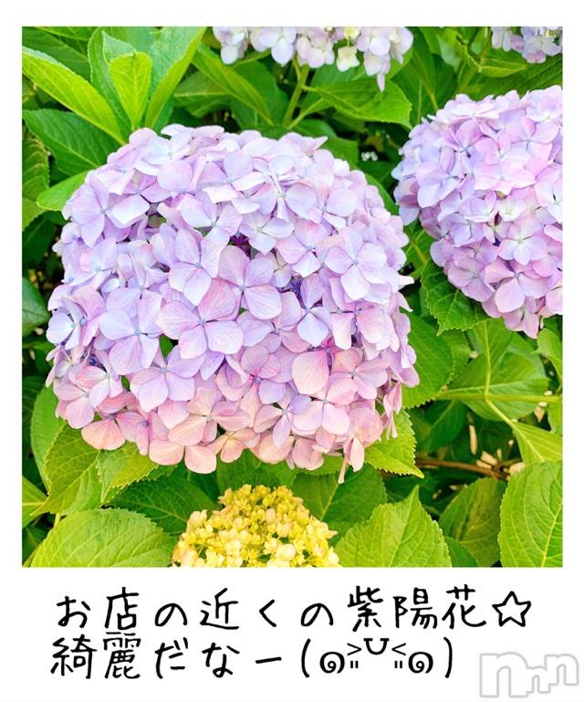 新潟ソープスチュワーデスことり(32)の2019年6月21日写メブログ「一期一会」