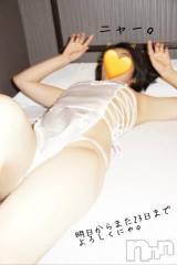 新潟ソープスチュワーデス ことり(32)の2月20日写メブログ「絶対ほんとはネコのポーズじゃない」