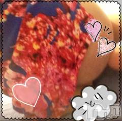 新潟ソープスチュワーデス ことり(32)の8月29日写メブログ「オンラインで」