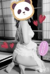 新潟ソープスチュワーデス ことり(32)の3月12日写メブログ「お鼻が…」